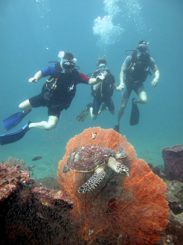 kezdo-buvartanfolyam-phuket-tengeri-merules
