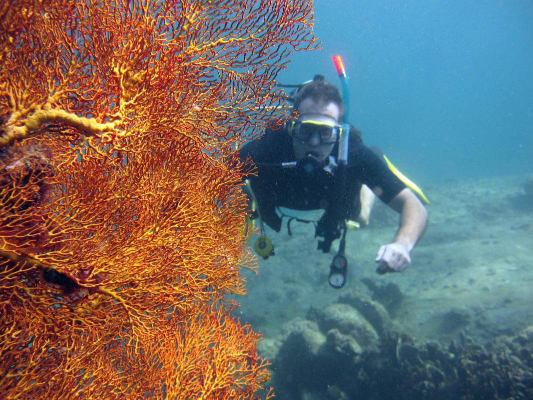 buvar-korall-probamerules-racha-szigetnel
